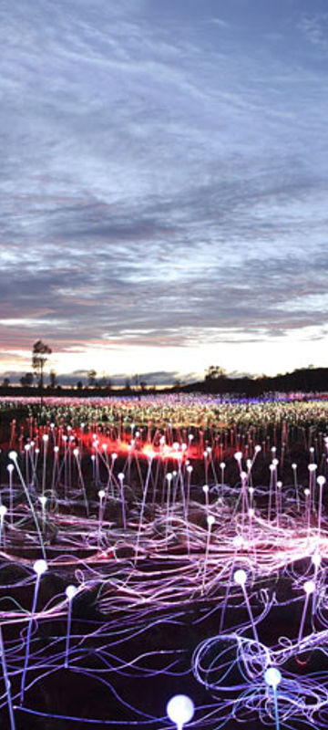 australia uluru field of light sunset