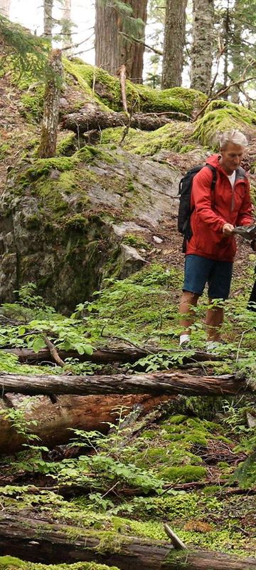 Hiking near Whistler