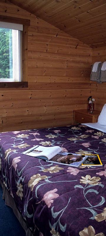 british columbia great bear lodge cabin interior