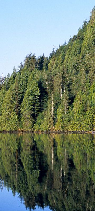 british columbia great bear lodge reflection