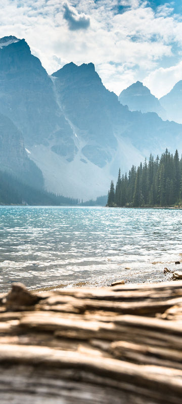 canada alberta banff moraine lake driftwood istk