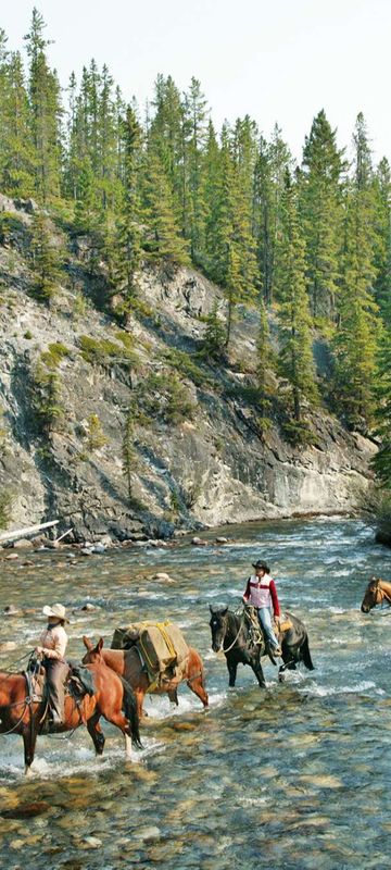 canada alberta horse riding banff national park ta