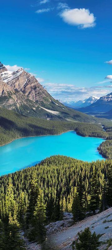 canada alberta peyto lake along icefields parkway istk