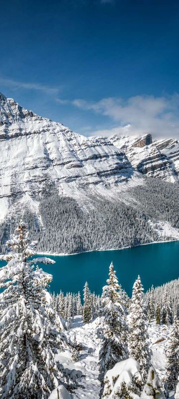 canada alberta peyto lake early winter istk