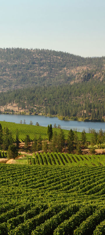 canada british columbia okanagan vineyards istk