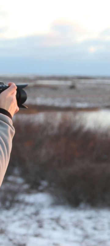 canada churchill photographing bears from polar rover viewing platform nha