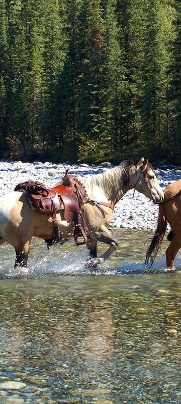 canada horse riding in rocky mountains istk