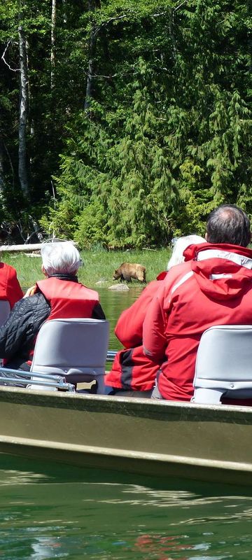 canada knight inlet bear watching by boat british columbia ll