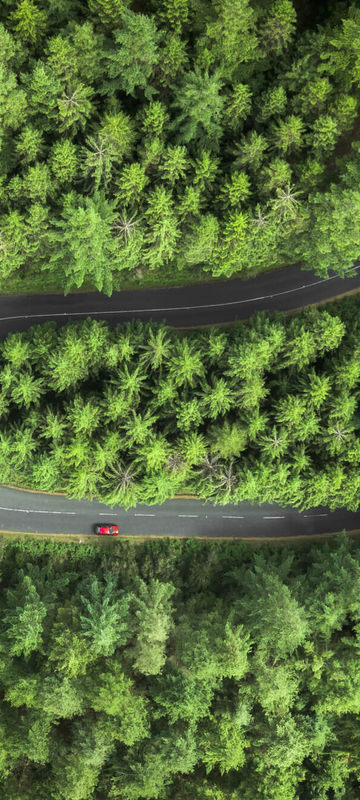 canada road winds through pine trees drone view istk