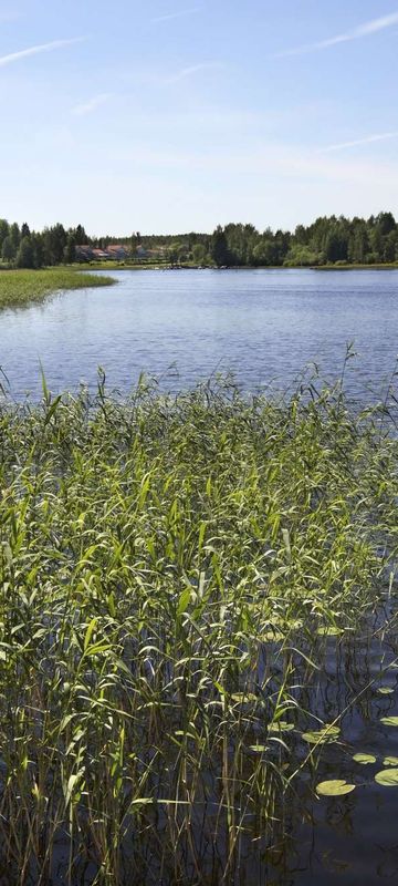 central finland lake jyvasjarvi jyvaskyla istk