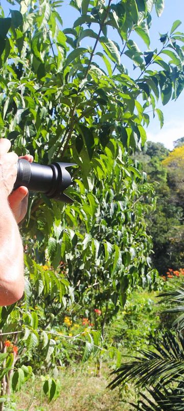 costa rica photographing flora uncr