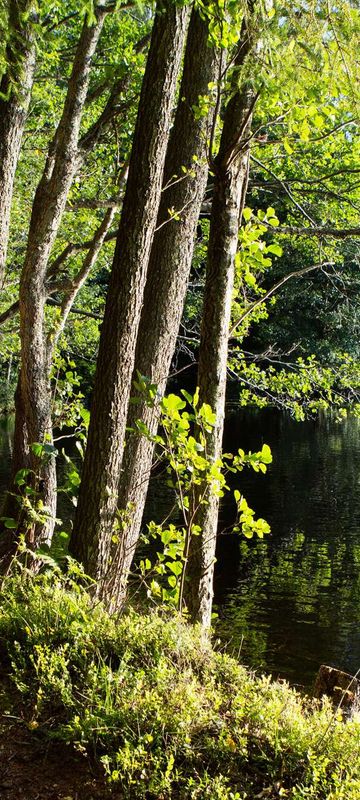 dalsland riverside hiking dals ws