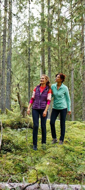 east finland forest trail near hotel kalevala