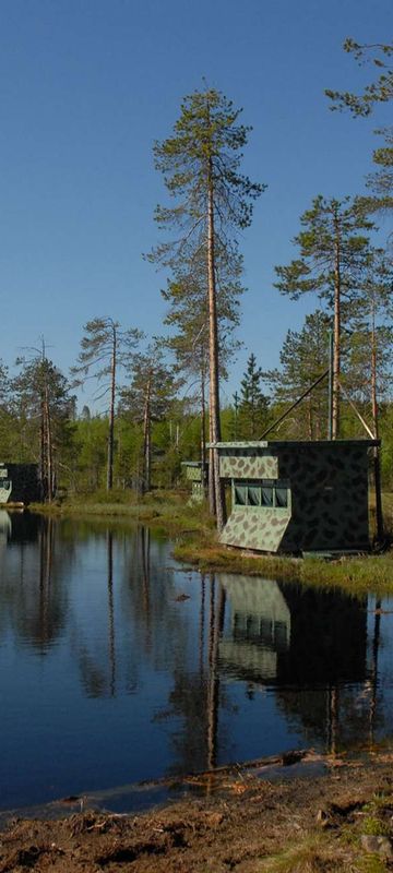 eastern finland bear hides on lake as