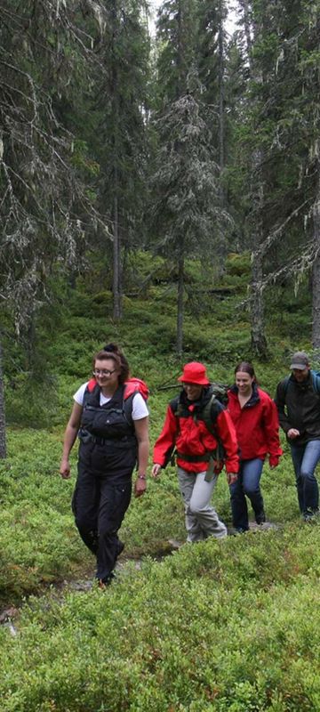 eastern finland hotel kalevala forest walk