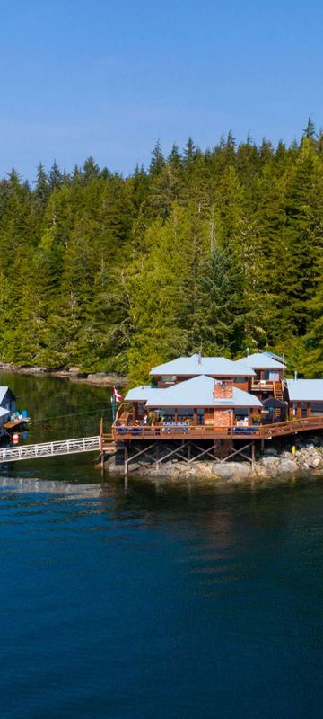 farewell harbour lodge and dock aerial