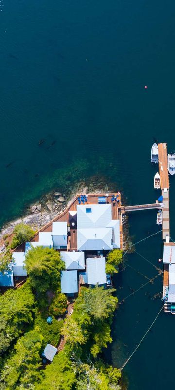 farewell harbour lodge overhead view