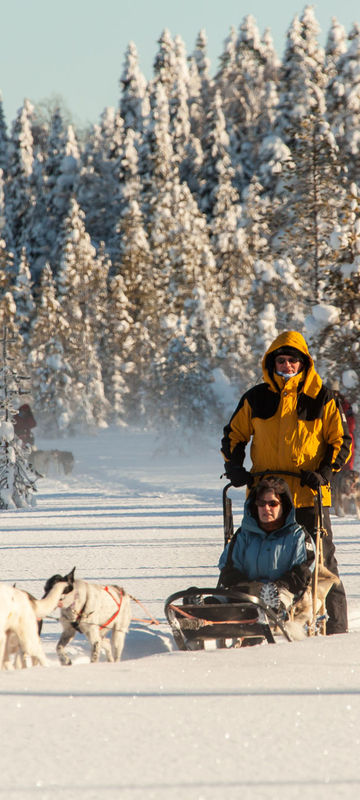 finland husky sledding