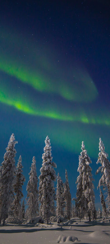finland lapland muotka northern lights