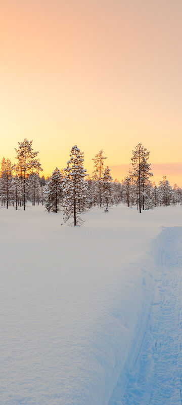 finland lapland sunset taiga forest istk