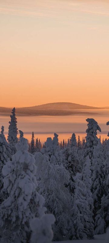 finnish lapland beautiful snow covered in winter light vf