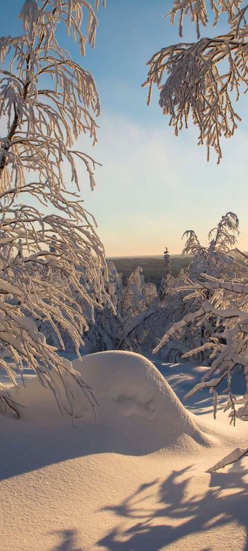 finnish lapland heavy snow in forest istk