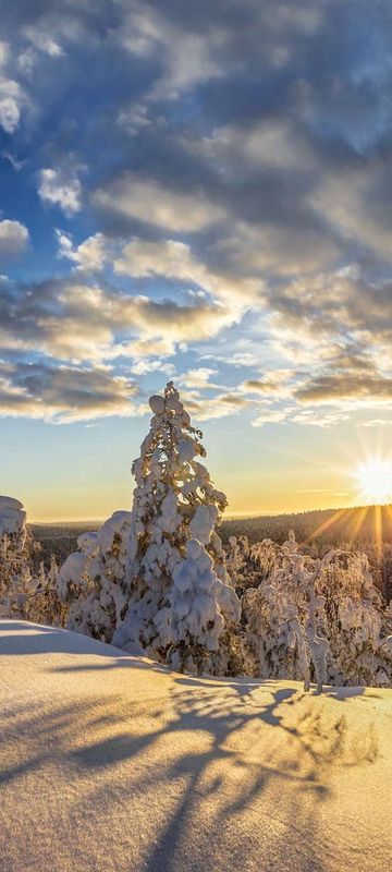 finnish lapland pyha luosto national park sunlit snowscape istk