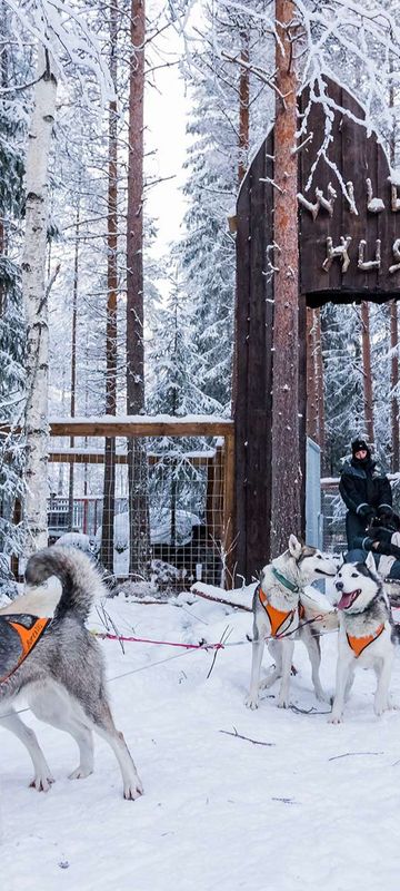 finnish lapland ranua husky sledding entrance