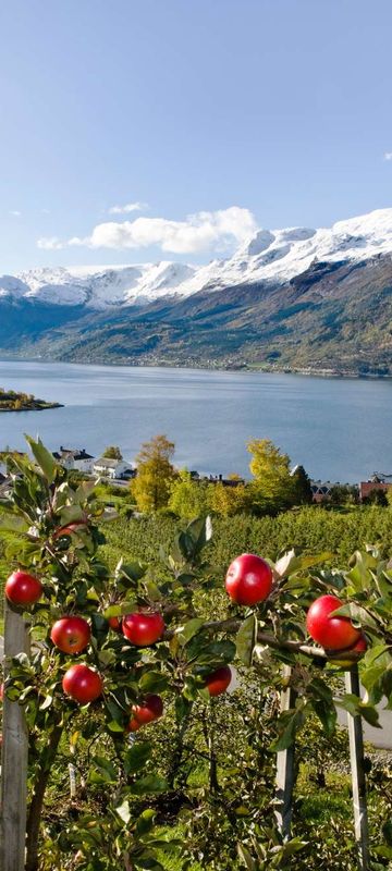 fjord norway view of sorfjorden from lofthus hu