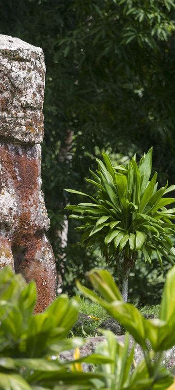 french polynesia marquesas ancient tikis astk