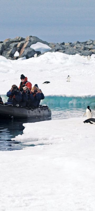 heritage expeditions zodiac adelie penguins 2000x1333 Compressed