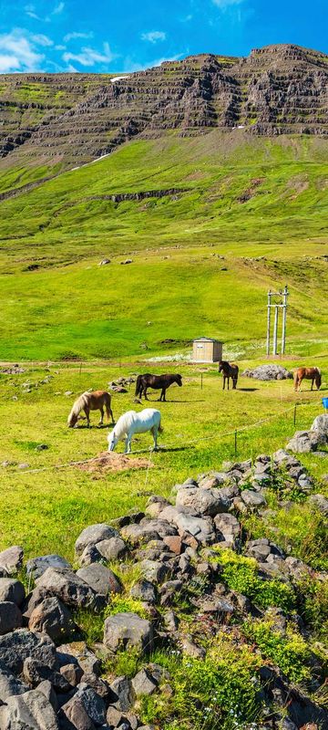 iceland east fjords mjoifordur church istk