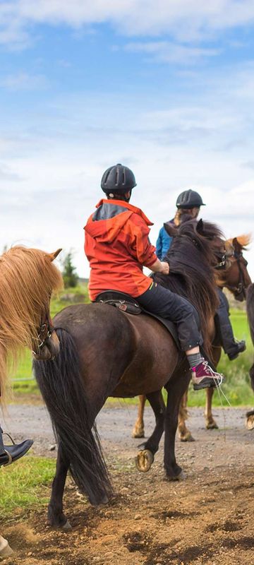 iceland group of horse riders astk