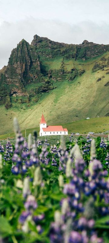 iceland south west church at vik lupins gt