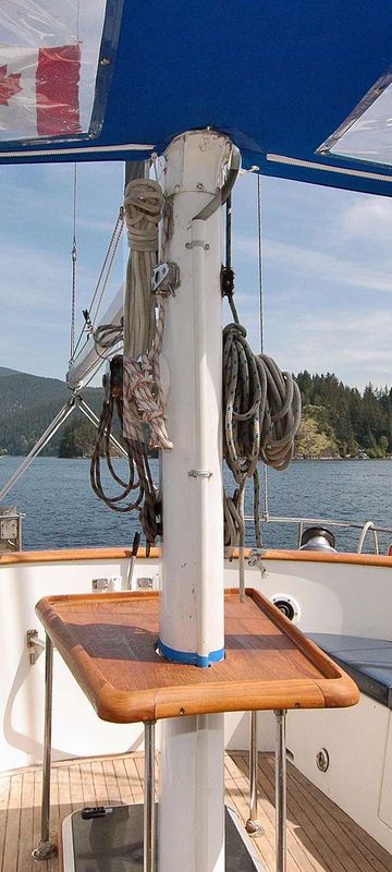 island odyssey stern blwtr