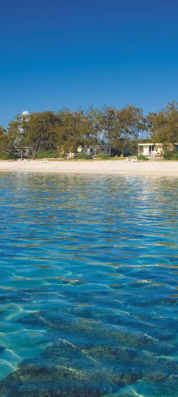 lady elliot island eco resort