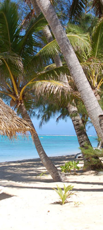 little polynesian beach hut