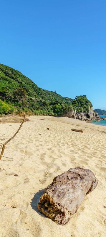 new zealand abel tasman gold sand beach istk