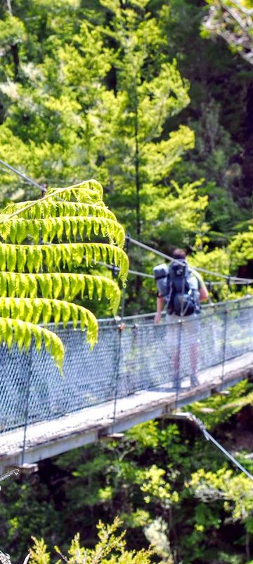 Abel Tasman swing bridge