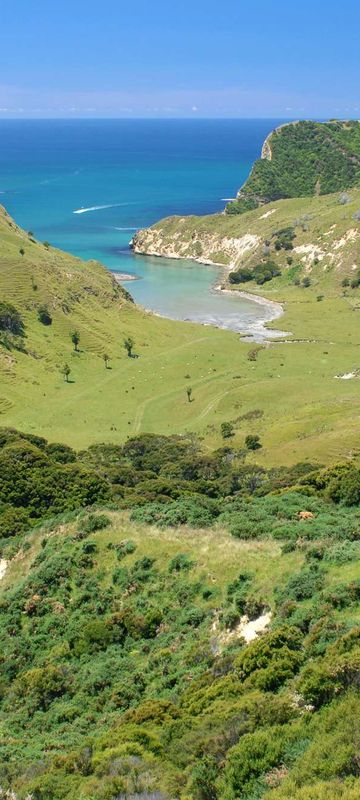 new zealand cooks landing tolaga bay east cape istk