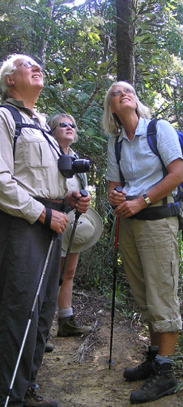 new zealand coromandel kiwi dundee guided tour