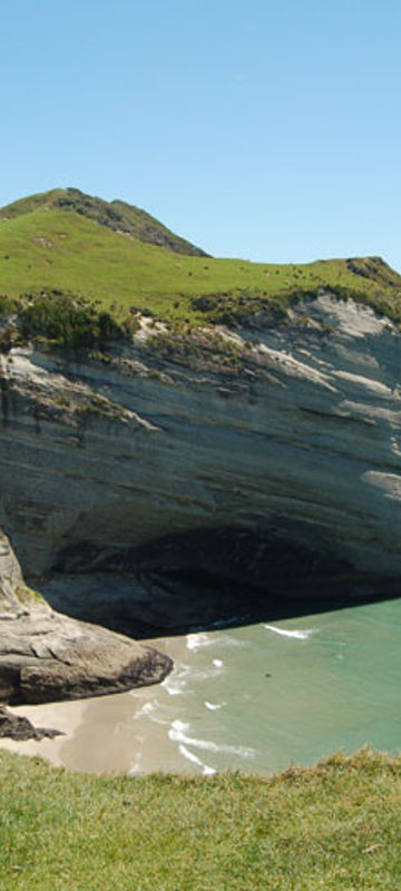 new zealand farewell spit eco tour beach