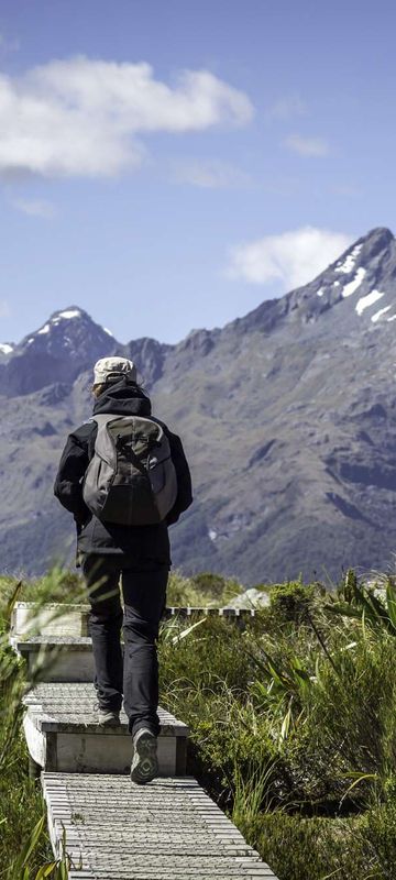 new zealand fiordland routeburn track path to key summit istk