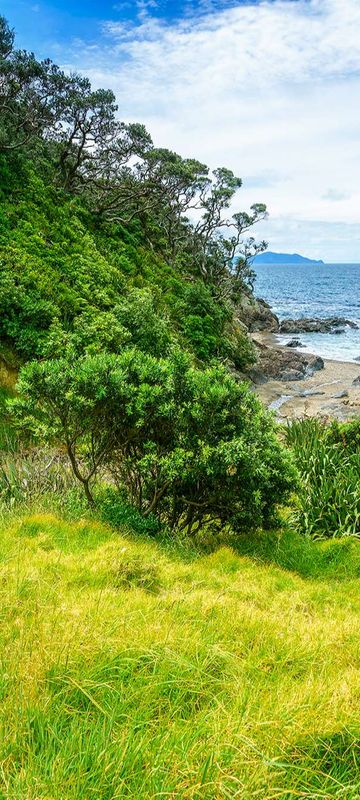 new zealand pathway to beach coromandel istk