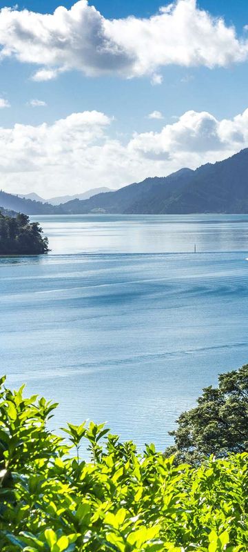 new zealand queen charlotte sound astk