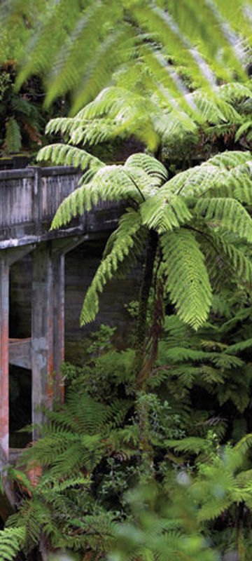 new zealand whanganui river bridge to nowhere vr