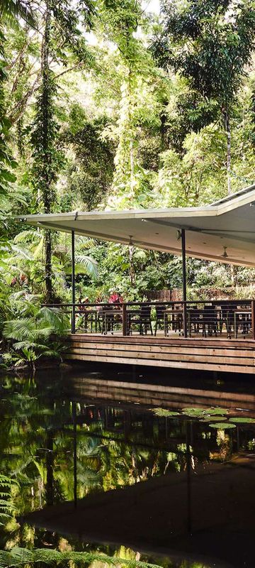 queensland daintree ecolodge restaurant reflection ss