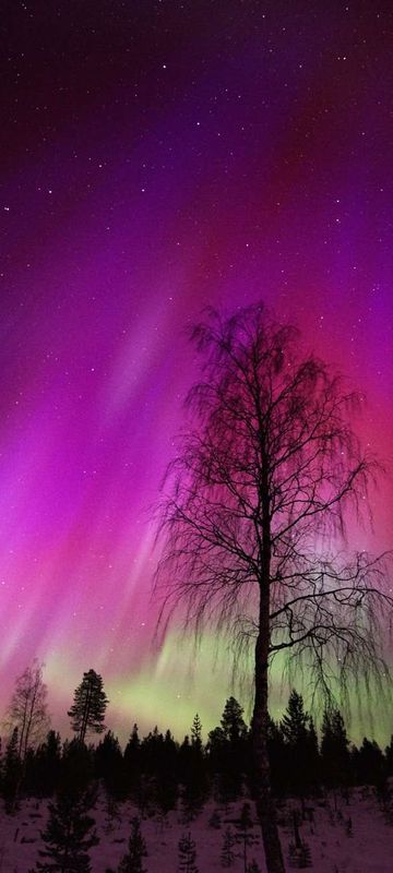 red aurora borealis seen over lapland istk