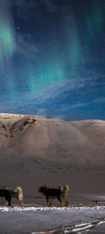 svalbard aurora husky sledding htgrtn