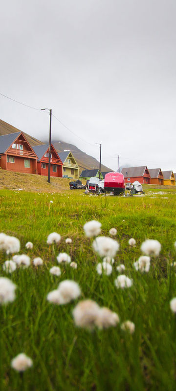 svalbard longyearbyen coloured houses summer istock